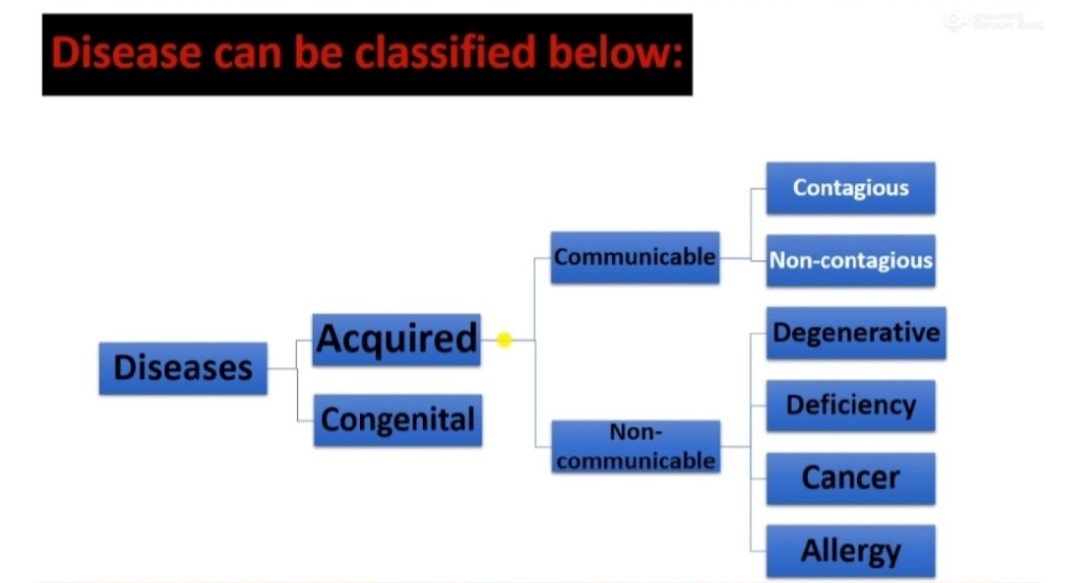 classification-of-disease
